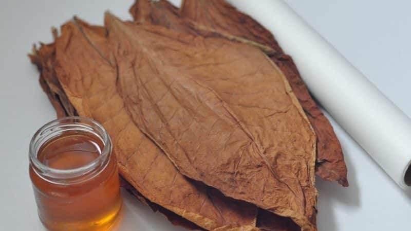 How and with what to properly flavor tobacco at home