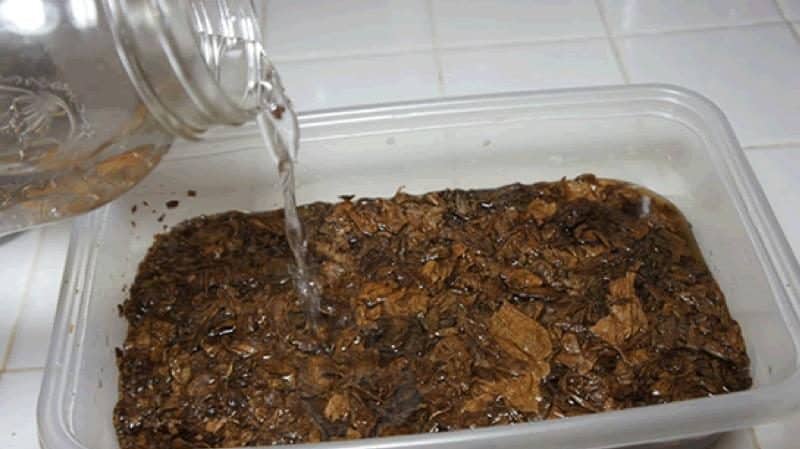 How and with what to properly flavor tobacco at home