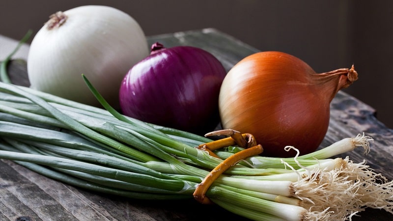 Quick and tasty weight loss with onion soup