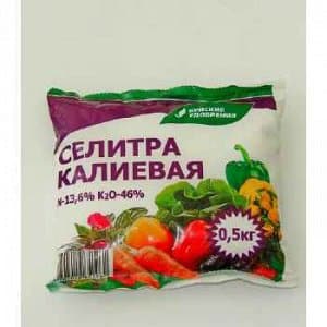 How is potassium nitrate useful for cucumbers during the fruiting period and how to use it correctly