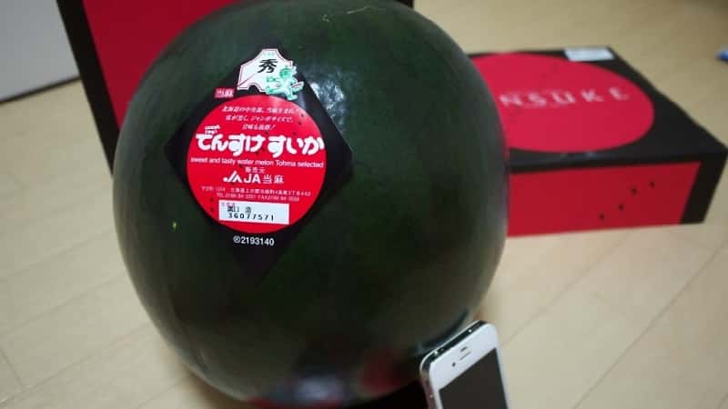 What is black watermelon: description, features and best varieties of this species