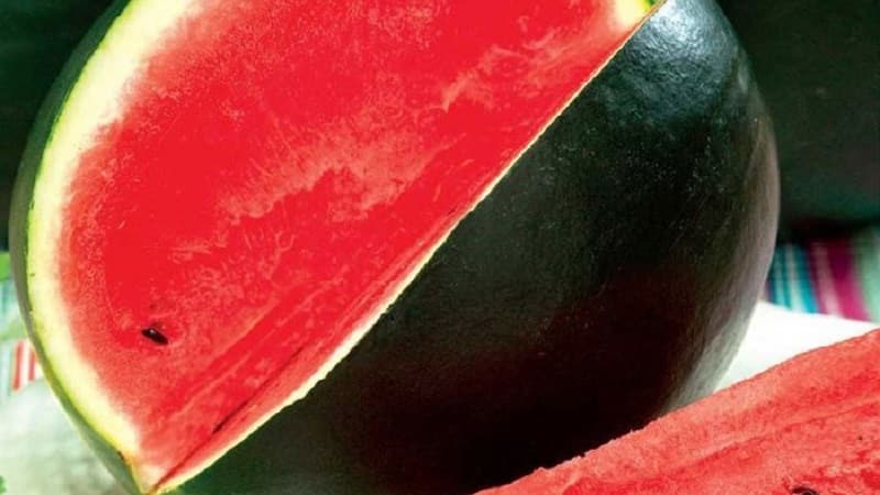 What is black watermelon: description, features and best varieties of this species