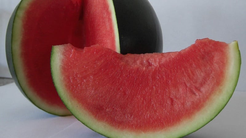 What is black watermelon: description, features and best varieties of this species