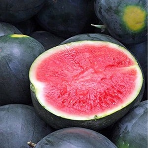 What is black watermelon: description, features and best varieties of this species