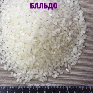 What is Baldo rice and what is it used for?
