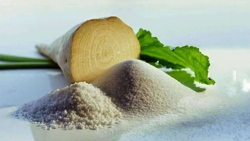 What is sugar beet: the full path from sowing the vegetable to the resulting sugar on our table