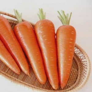Juicy and sweet carrot hybrid Abaco F1 with high yield