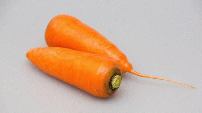 Juicy and sweet carrot hybrid Abaco F1 with high yield