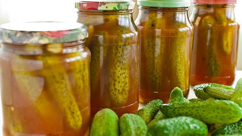 Crispy cucumbers in jars for the winter: hot salt