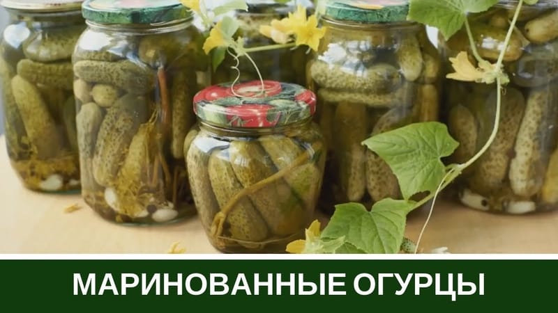 Crispy cucumbers in jars for the winter: hot salt