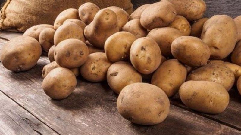 The history of the origin and spread of potatoes: where potatoes come from and how they gained their popularity