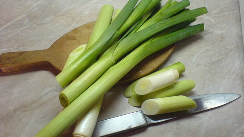 How to properly cook and eat leek soup for weight loss