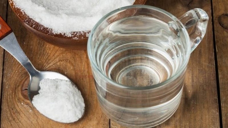 How to properly water cucumbers with soda and what benefits it will bring to the harvest