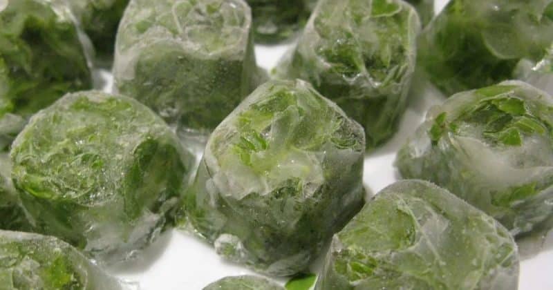 How to make parsley ice for the face: beauty and health of skin from simple ingredients
