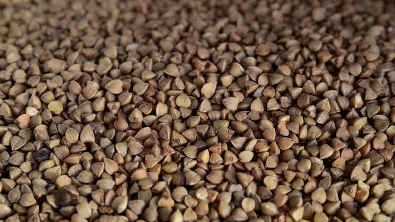 Instructions for buyers: how to choose buckwheat correctly