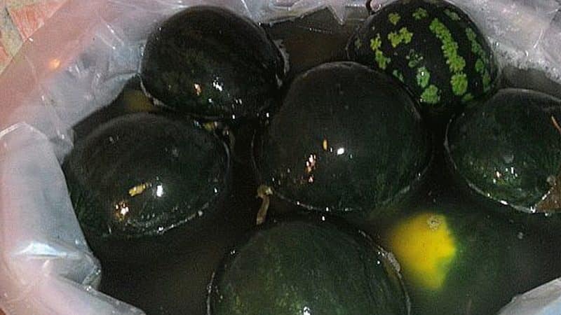 How to ferment watermelons in a barrel: time-tested recipes