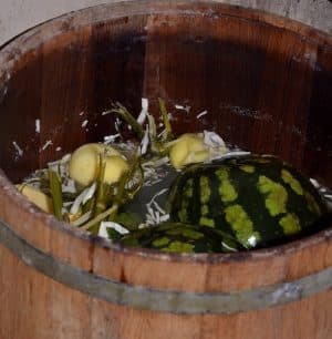 How to ferment watermelons in a barrel: time-tested recipes