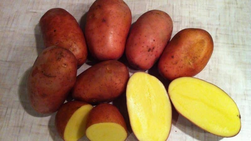 Which types of potatoes are better for frying: red or white?