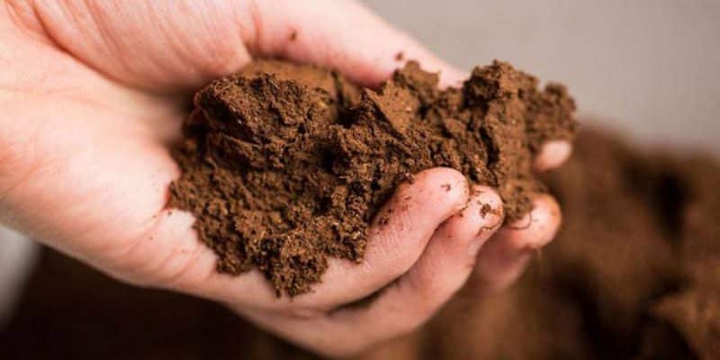 What fertilizers to apply in the fall after harvesting potatoes