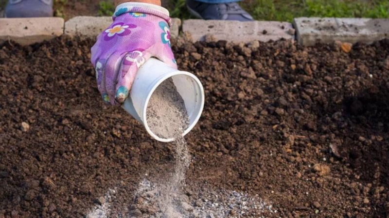 What types of fertilizers are best to use when planting potatoes?