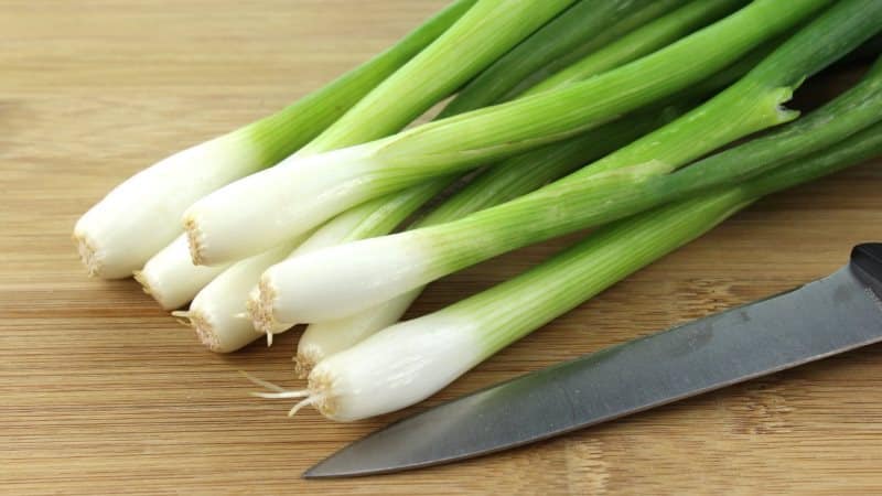 Calorie content, benefits and harms of green onions