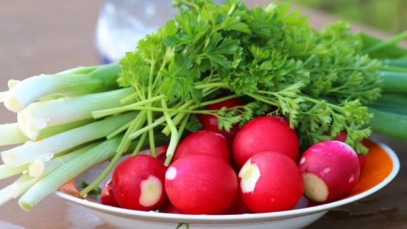 Calorie content of radish and beneficial properties for the human body