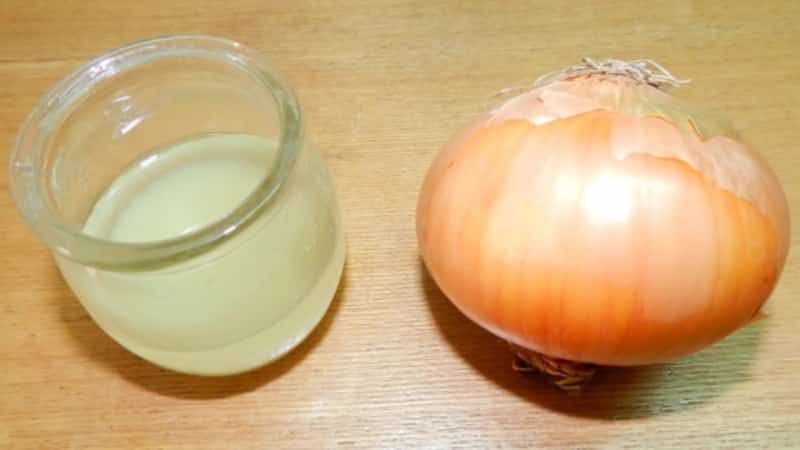 Saving children from runny noses: nasal drops from onion juice