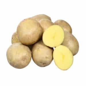 Mid-early potato variety Breeze from Belarusian breeders