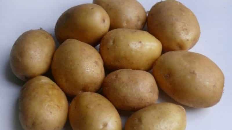 The ideal potato variety to purchase for the winter: Jelly