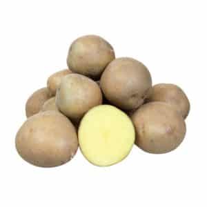 What is good about the Kolobok potato variety and why gardeners love it so much