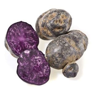 Amazing potato variety Vitalot with purple skin and pulp