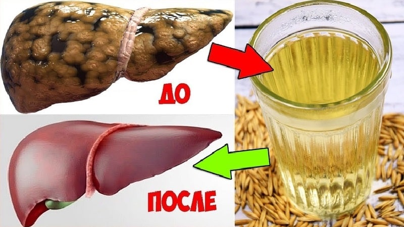 The best recipes for cleaning the liver with oats at home