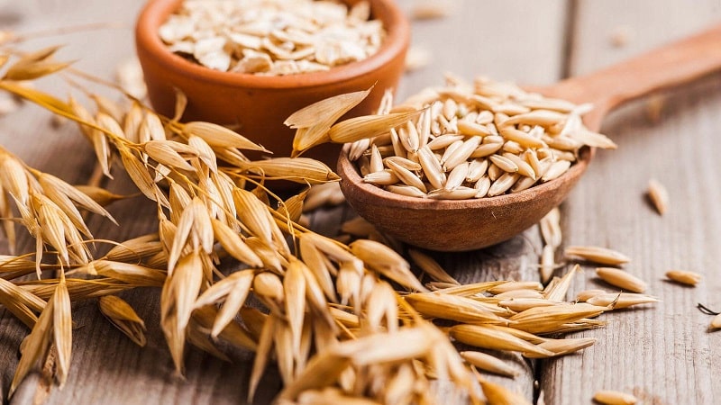 The best recipes for cleaning the liver with oats at home