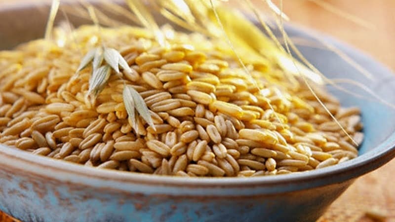 The best recipes for cleaning the liver with oats at home