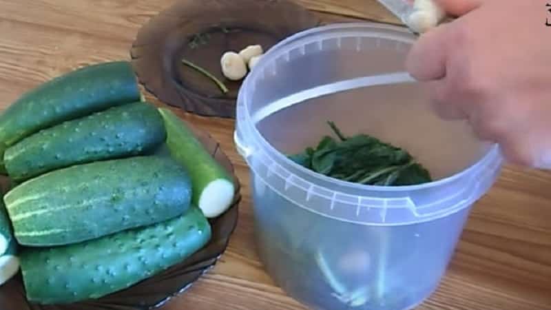 The best recipes for pickling cucumbers in a plastic bucket for the winter and recommendations for storing such preparations
