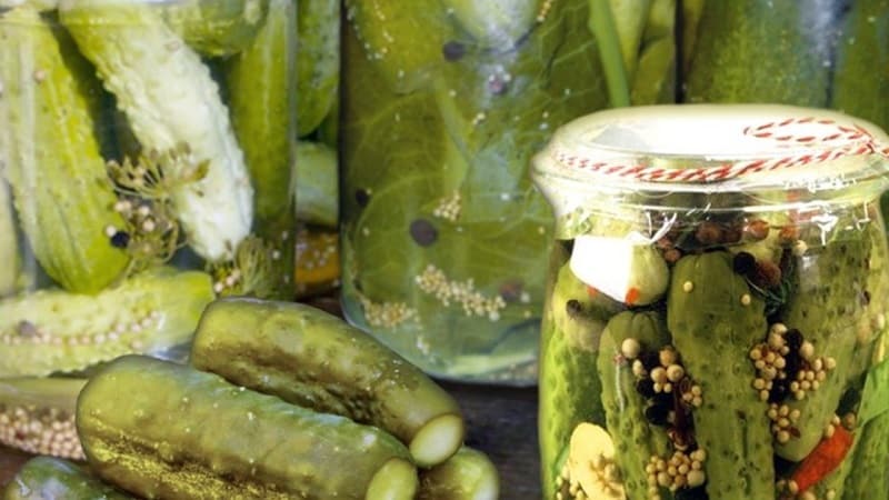 The best recipes for cold pickling cucumbers for storing in an apartment in winter