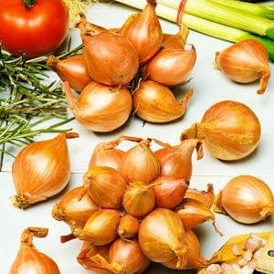 Varieties of onion varieties Family and their characteristics