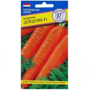 Early maturing, cold-resistant Dordogne carrot hybrid