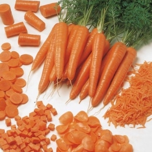 Amsterdam early ripening carrot variety Tuchon