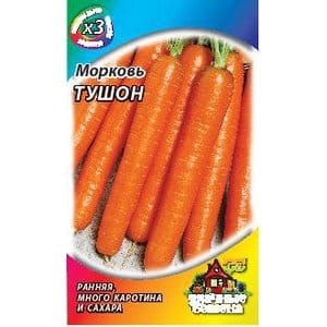 Amsterdam early ripening carrot variety Tuchon