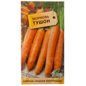 Amsterdam early ripening carrot variety Tuchon