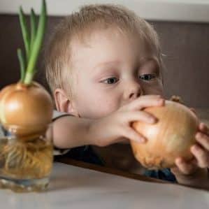 Is it possible to give onions to a small child and at what age?