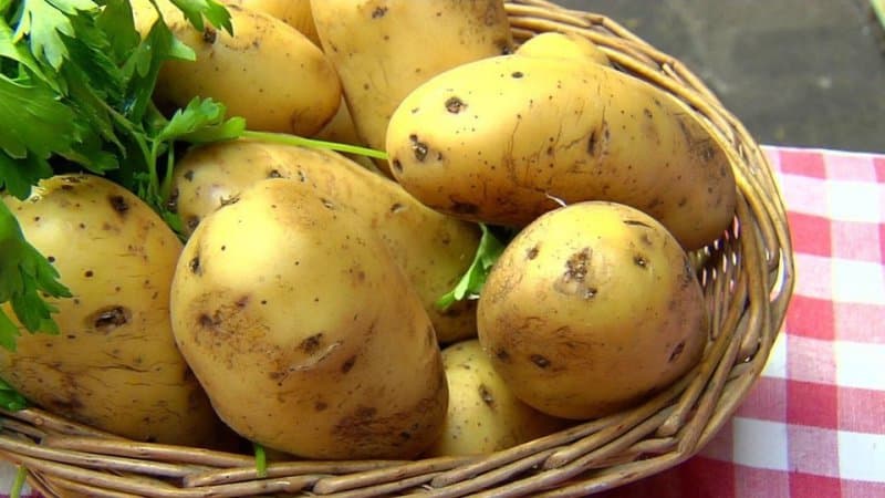 Is it possible to eat potatoes if you have high cholesterol?