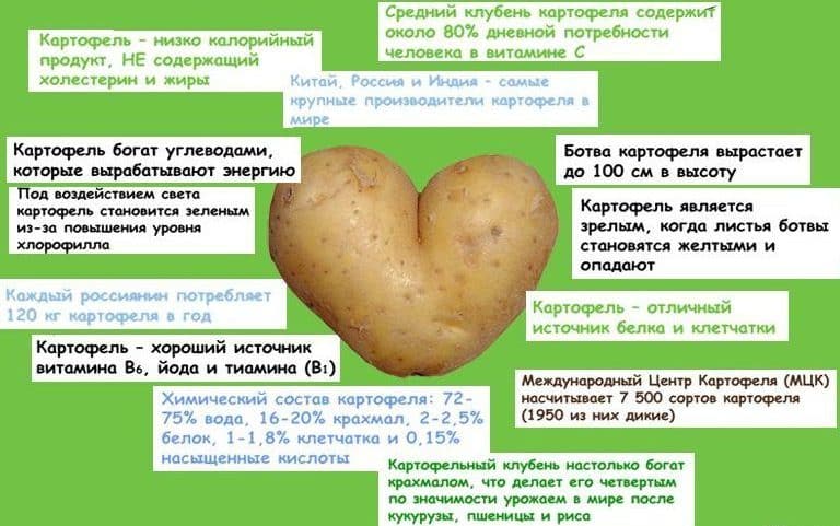 Is it possible to eat potatoes if you have high cholesterol?