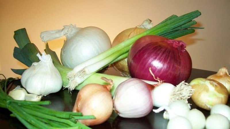 Is it possible to eat onions with gastritis with high or low acidity?