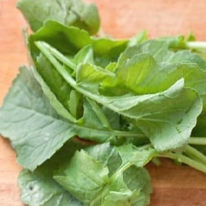Is it possible to eat radish stem and leaves?