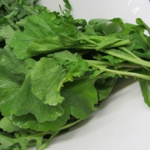 Is it possible to eat radish stem and leaves?