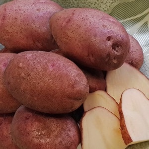 Unpretentious early ripening potato variety Lyubava for long-term storage