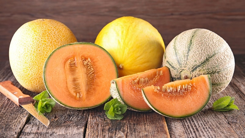 Why you can’t eat melon with milk and other foods