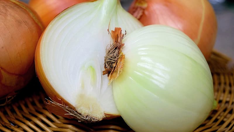 Calorie content and nutritional value of onions: fresh, boiled, fried